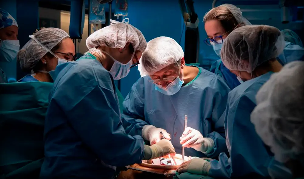 El órgano ha funcionado con normalidad, lo que representa un importante avance científico, según lo primeros informes. Foto: Francisco Avia