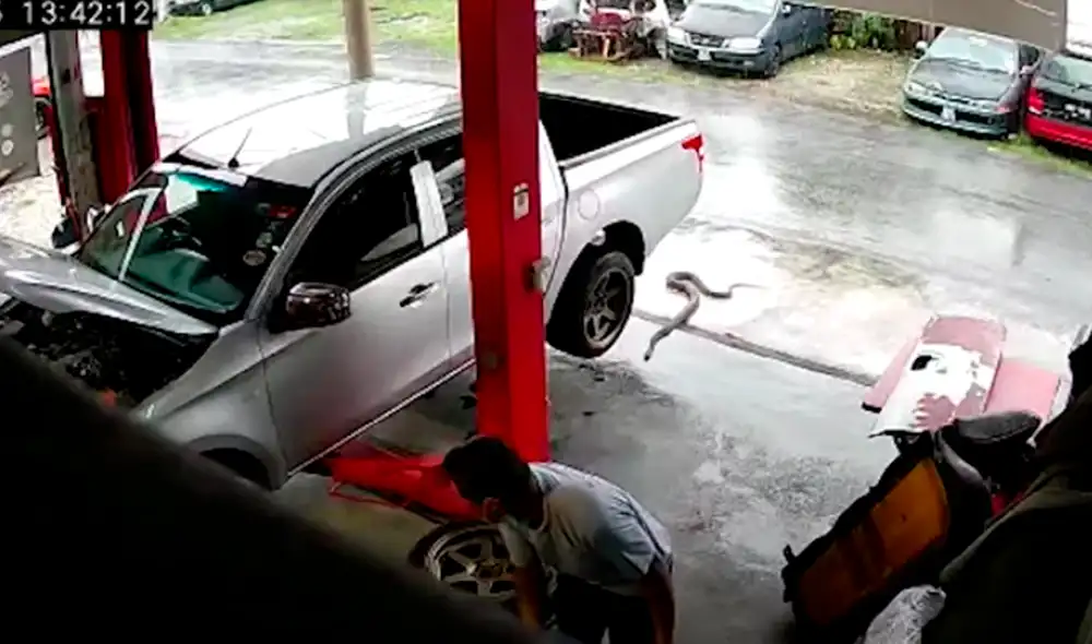 El video ha sido compartido en el canal ViralPress. Foto: captura de YouTube