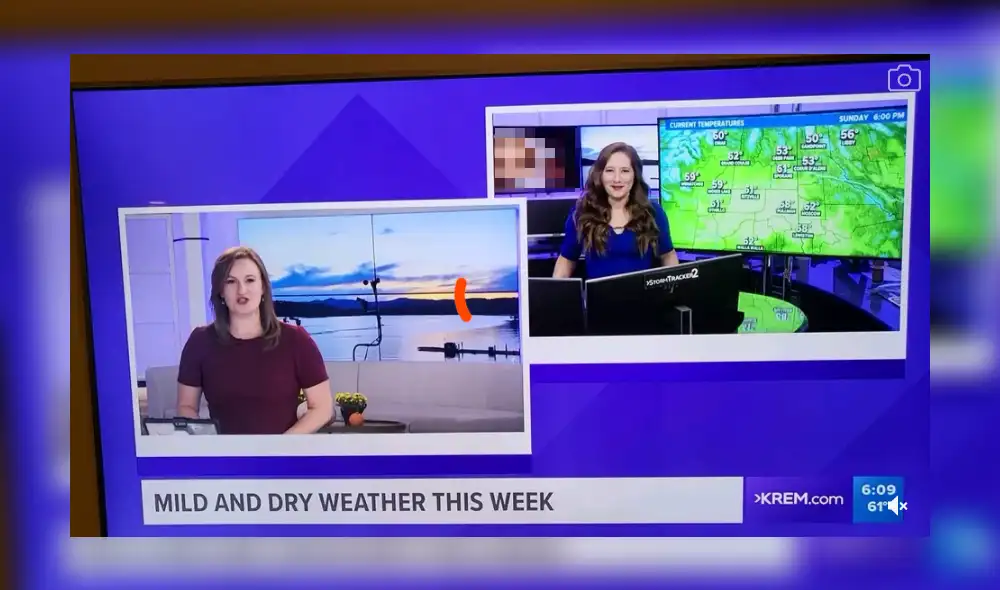 La presentadora Michelle Boss se encontraba entregando un informe sobre el clima cuando ocurrió el incidente. Foto: captura de Twitter/@danielwinlander La presentadora Michelle Boss se encontraba entregando un informe sobre el clima cuando ocurrió el incidente. Foto: captura de Twitter/@danielwinlander