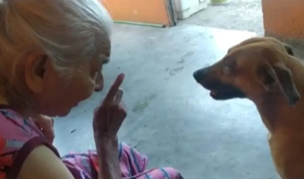 Miles de usuarios quedaron cautivados al ver esta tierna escena. Foto: captura de TikTok