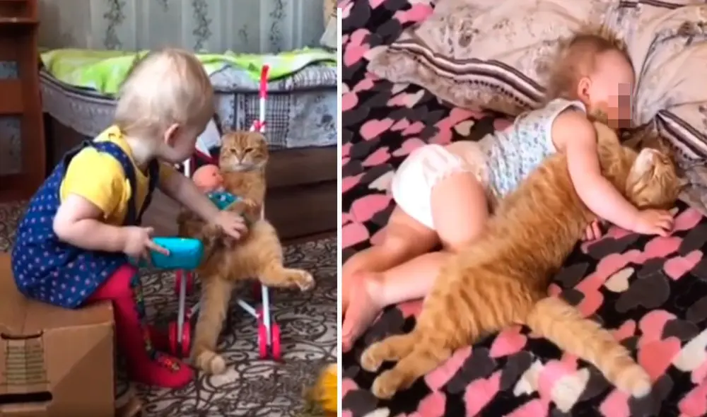 Unos padres se llevaron una tierna sorpresa al percatarse de que su gatito nunca se separaba de su pequeña al tratar de protegerla a todas horas. Foto: captura de YouTube