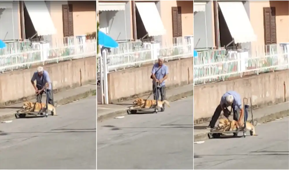 La tierna escena fue registrada por una mujer, quien no dudó en subirlo a redes, donde rápidamente se viralizó. Foto: captura de video de Facebook