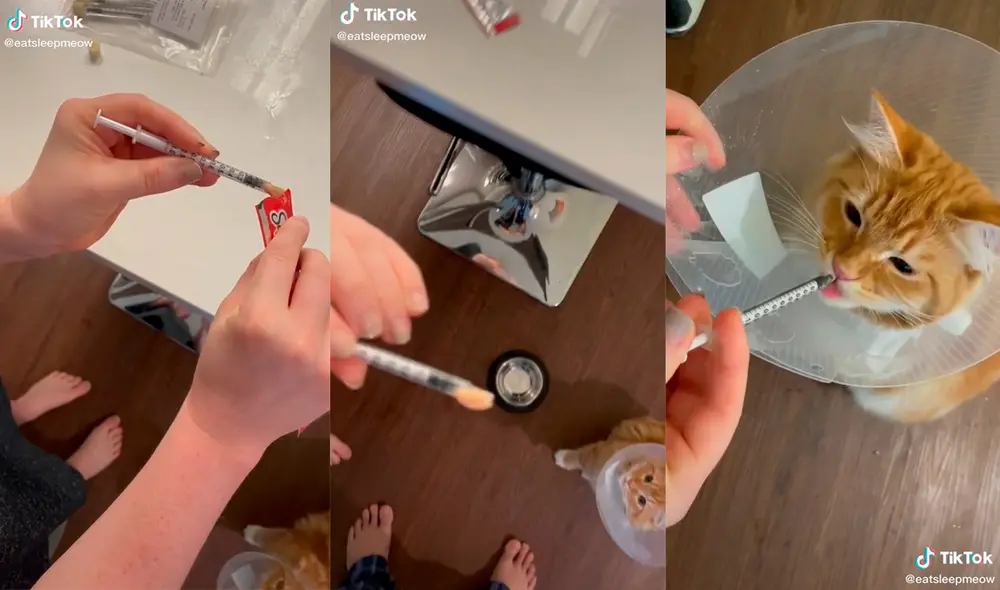 La dueña recibió elogios en su publicación por su gran creatividad. Foto: captura de TikTok