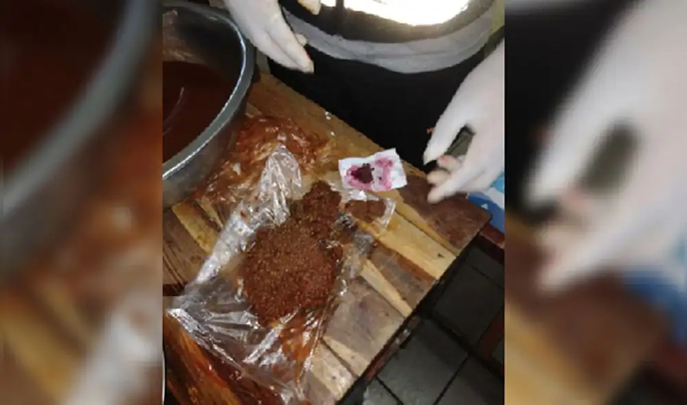 Hojas secas similares a marihuana estaban mezcladas con el condimento. Foto: INPE Hojas secas similares a marihuana estaban mezcladas con el condimento. Foto: INPE