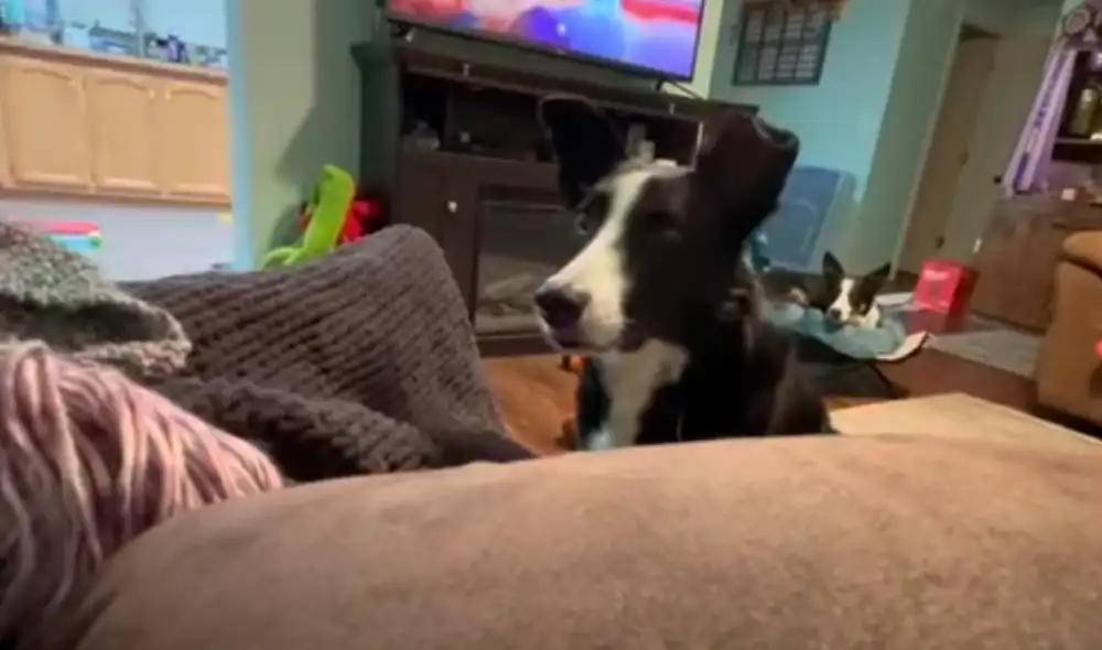 El video ha sido compartido en la página BVIRAL. Foto: captura de Facebook