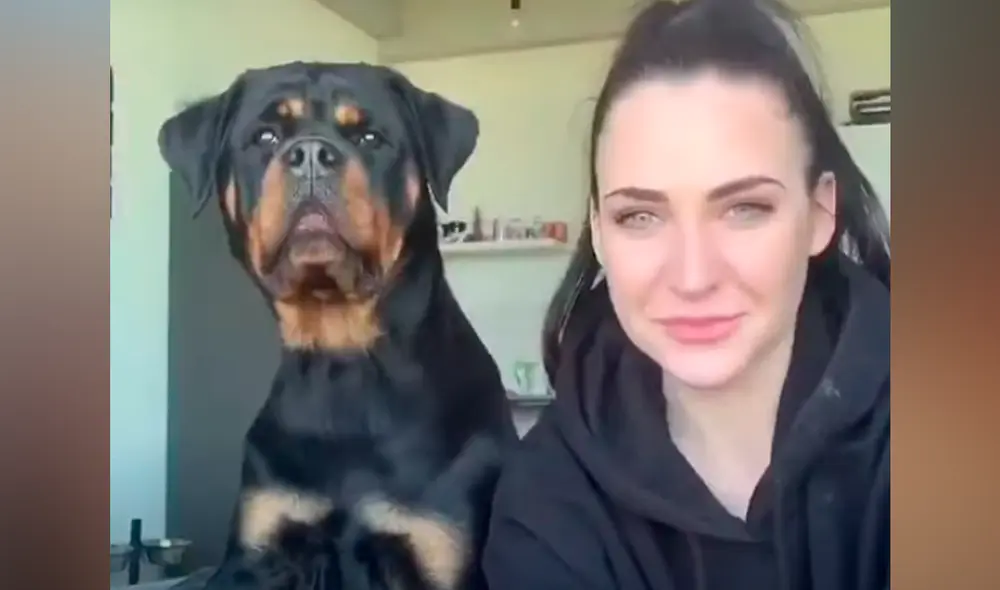 El video viral ha sido compartido en la página Rottweiler Life. Foto: captura de Facebook