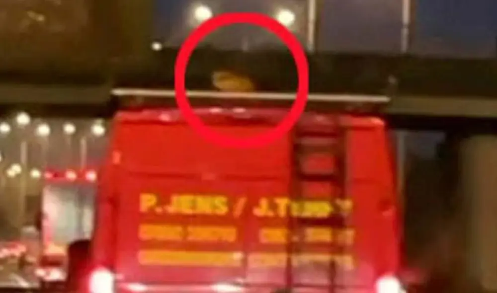 Unos jóvenes se llevaron una sorpresa al percatarse que un animal salvaje se subió a lo alto de un vehículo, mientras recorría una carretera. Foto: captura de YouTube Unos jóvenes se llevaron una sorpresa al percatarse que un animal salvaje se subió a lo alto de un vehículo, mientras recorría una carretera. Foto: captura de YouTube