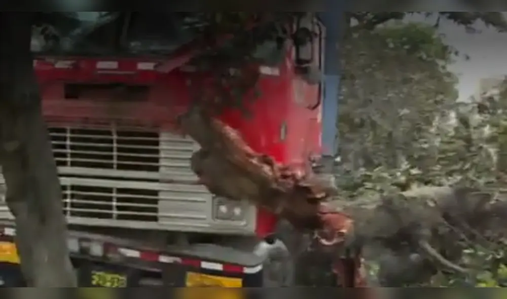 El hecho ocurrió en el paradero 6 de la avenida Las Flores en San Juan de Lurigancho. Foto: captura América Noticias El hecho ocurrió en el paradero 6 de la avenida Las Flores en San Juan de Lurigancho. Foto: captura América Noticias