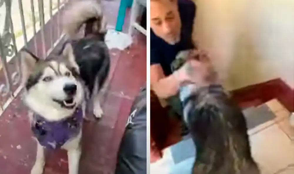 El video viral ha sido compartido en la página BVIRAL. Foto: captura de Facebook El video viral ha sido compartido en la página BVIRAL. Foto: captura de Facebook