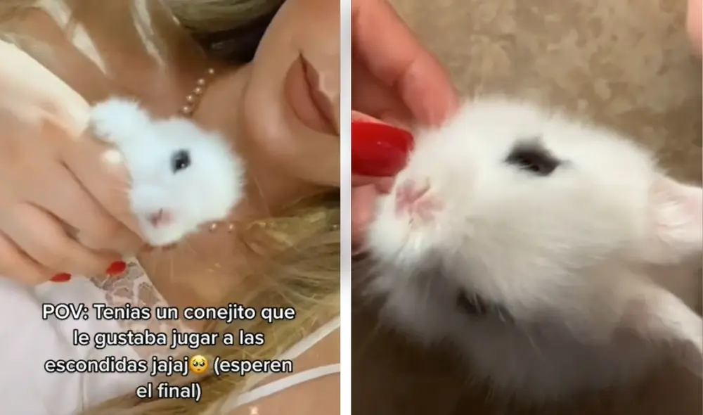 La usuaria contó en otro video que la niña no fue castigada a pesar de lo que hizo con su conejo. Foto: captura de TikTok