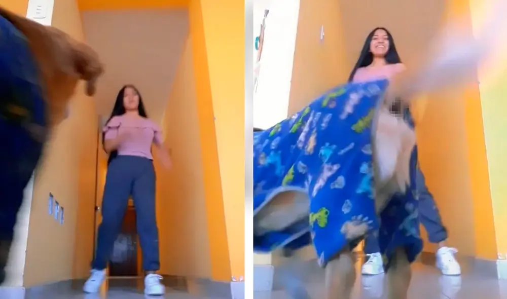 Perrito mueve la cola al ritmo de la música y opaca a su dueña. Foto: captura de TikTok Perrito mueve la cola al ritmo de la música y opaca a su dueña. Foto: captura de TikTok
