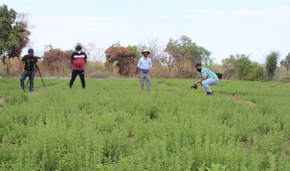 En la ceremonia estarán presentes autoridades nacionales y regionales. Foto: Muni Salas En la ceremonia estarán presentes autoridades nacionales y regionales. Foto: Muni Salas
