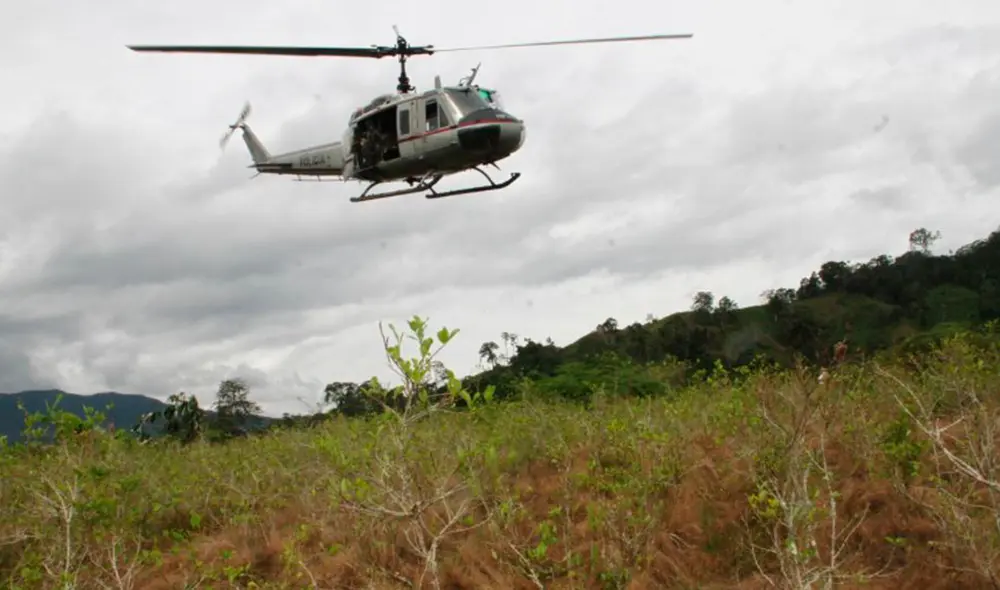 Según Devida, la Dirandro y el Corah, si se detiene la erradicación en San Gabán, Puno, se afectará el objetivo de eliminar 6 mil hectáreas de hoja de coca para este año. Foto: Virgilio Grajeda/La República