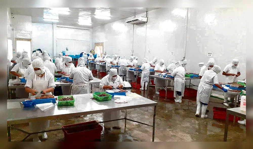 Quejas. Plantas reciben multas por incumplir las normas.