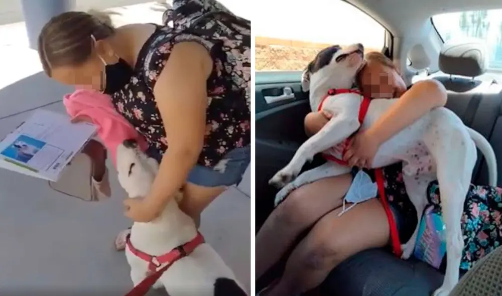 Una mujer hizo una cita secreta para firmar los papeles de adopción de su nueva mascota sin que su pequeña se entere de su decisión. Foto: captura de YouTube