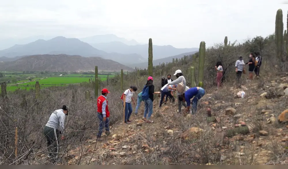Escolares y docentes de colegio José Abelardo Quiñones Gonzales realizaron una jornada de limpieza en zona arqueológica. Foto: DDC Lambayeque Escolares y docentes de colegio José Abelardo Quiñones Gonzales realizaron una jornada de limpieza en zona arqueológica. Foto: DDC Lambayeque