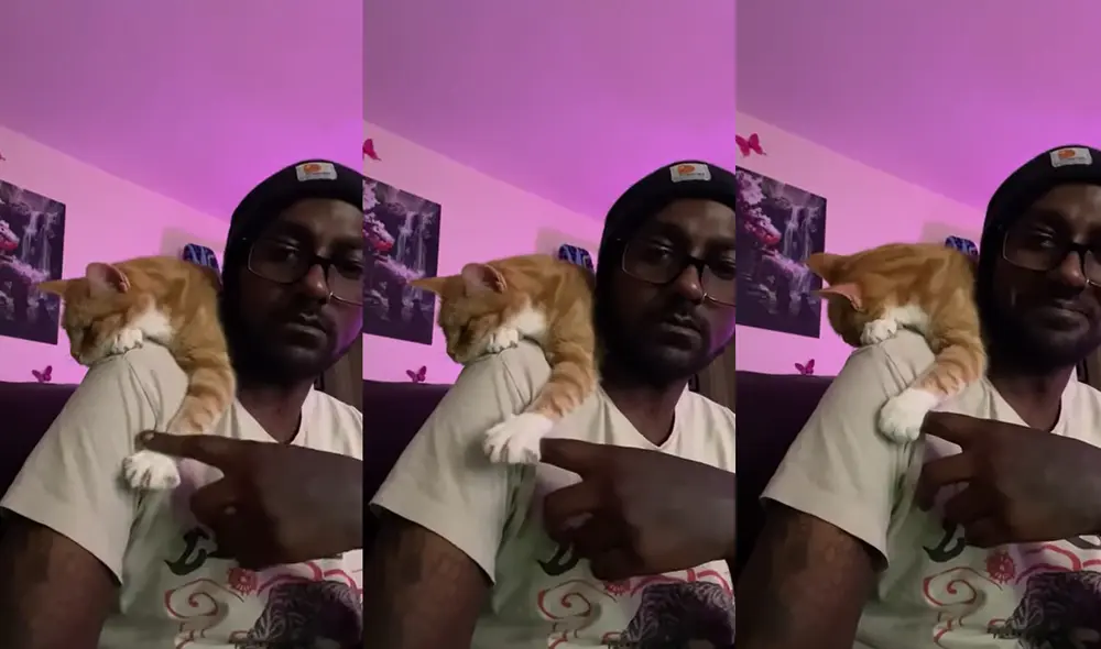 El joven comentó que tiene más de 60 videos de su gatita en su teléfono. Foto: captura de YouTube