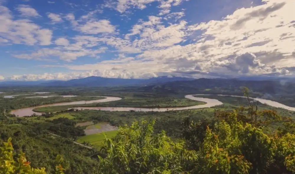 El Vraem alberga casi la mitad de la superficie cultivada con coca. Foto: Devida El Vraem alberga casi la mitad de la superficie cultivada con coca. Foto: Devida