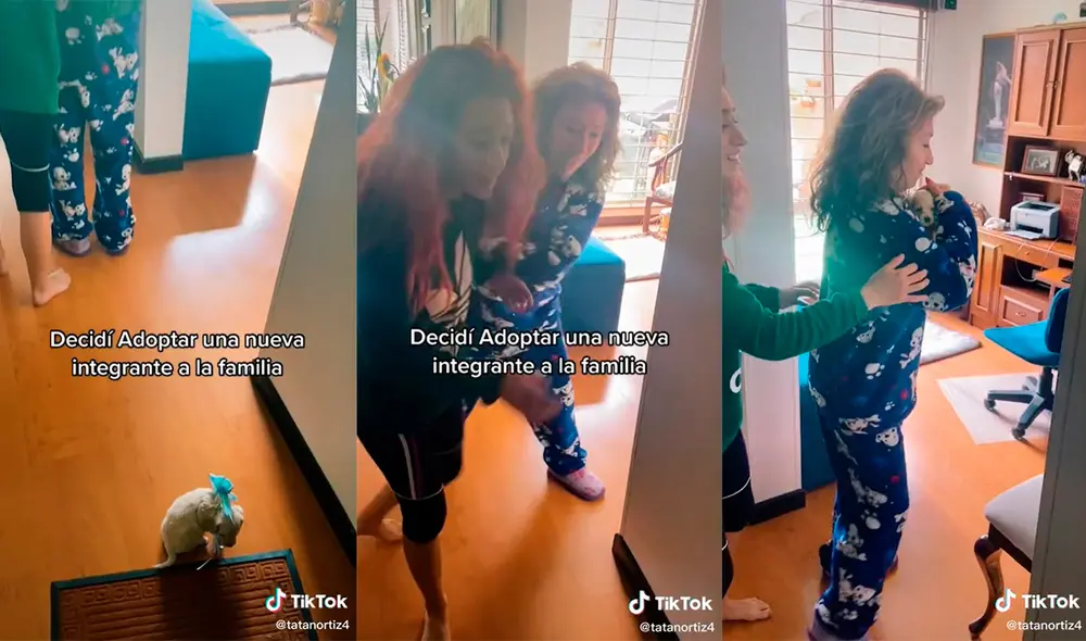 Las mujeres no pudieron ocultar su emoción al descubrir que iban a tener una nueva mascota. Foto: captura de TikTok
