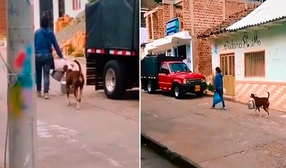 Esto parecía ser un acto de correspondencia al amor y cuidados que recibe de su dueña. Foto: captura de TikTok