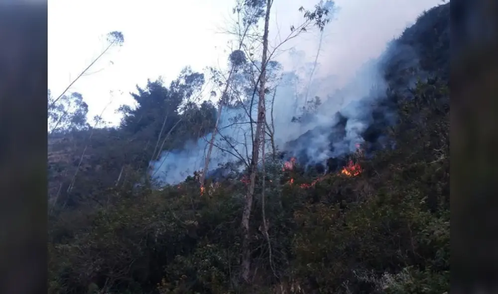 El incendio se había producido alrededor de las 2.00 p.m. del domingo 25 de octubre, según refirió el Indeci. Foto: El Popular/referencial El incendio se había producido alrededor de las 2.00 p.m. del domingo 25 de octubre, según refirió el Indeci. Foto: El Popular/referencial