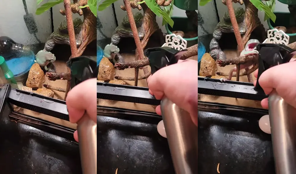 Esto ocurrió en un hogar de Shreveport, Louisiana, USA. Foto: captura de YouTube