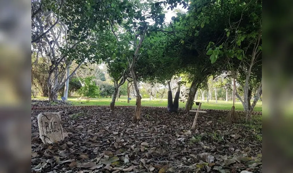 El publicó en general podrá celebrar el Día de la Canción Criolla y Halloween en el Parque de las Leyendas. Foto: MML