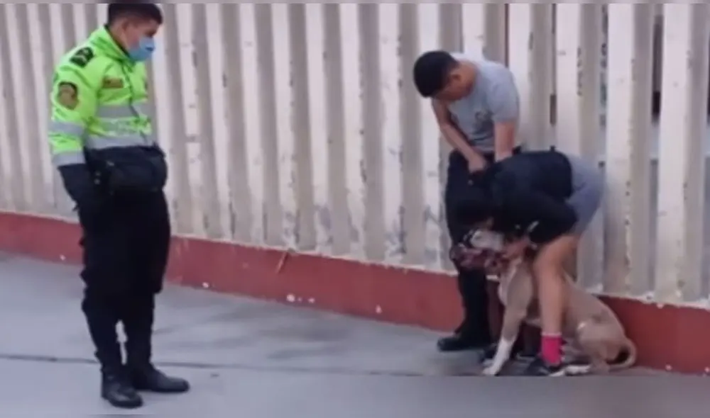 Con ayuda de efectivos pudieron colocarle el bozal. Foto: captura/Noticias en red