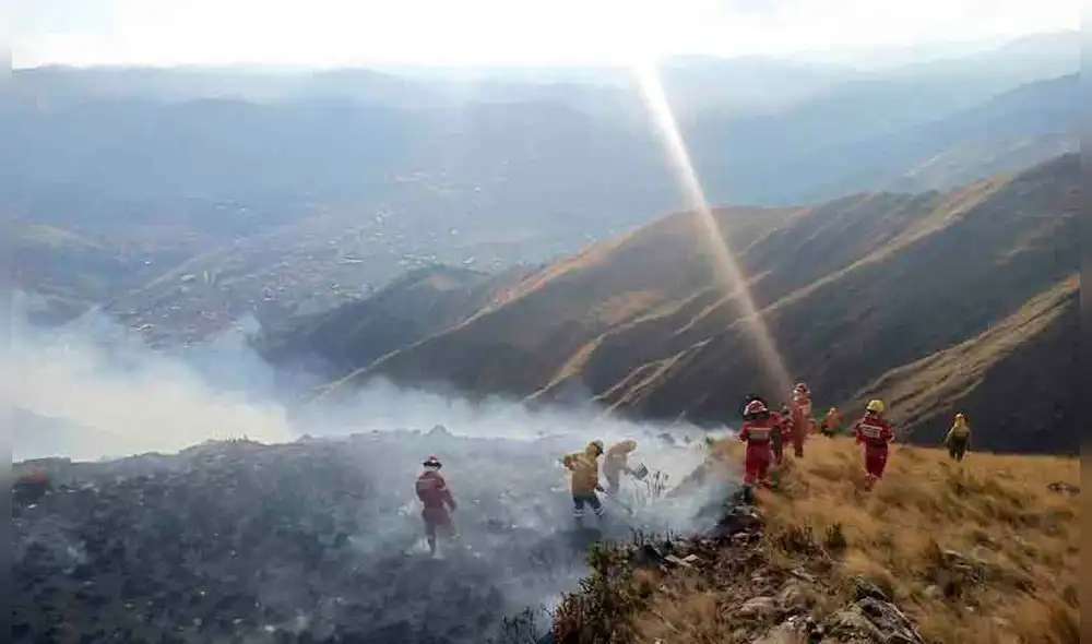 Daños. Incendios arrasaron más de 14 mil hectáreas.