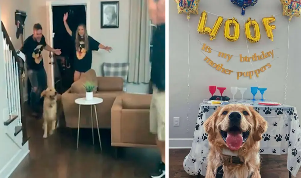 Los integrantes de una familia aprovecharon que su mascota estaba en la calle para decorar el interior de su casa, con el propósito de festejarle su día especial. Foto: captura de Facebook