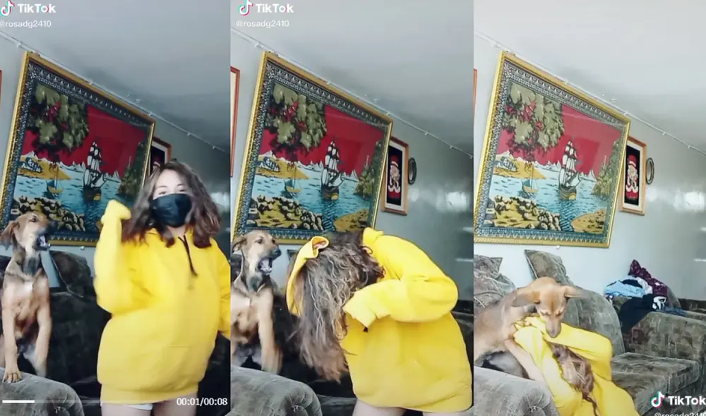 El perrito interrumpió la grabación para jugar con su dueña y ambos terminaron realizando un divertido blooper. Foto: captura de TikTok