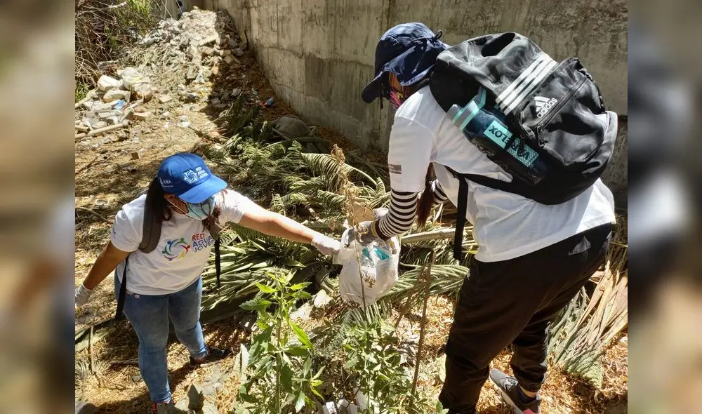 En la jornada, participaron más de 30 voluntarios de la Red Agua Joven. Foto: URPI/Alexis Choque En la jornada, participaron más de 30 voluntarios de la Red Agua Joven. Foto: URPI/Alexis Choque