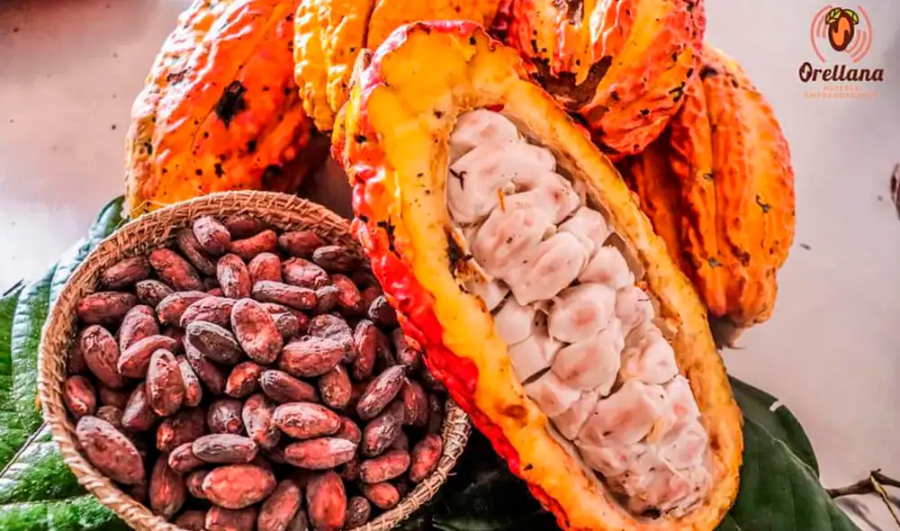 Feria con productos de Oxapampa se realizarán en la Plazuela del Teatro. Foto: Difusión