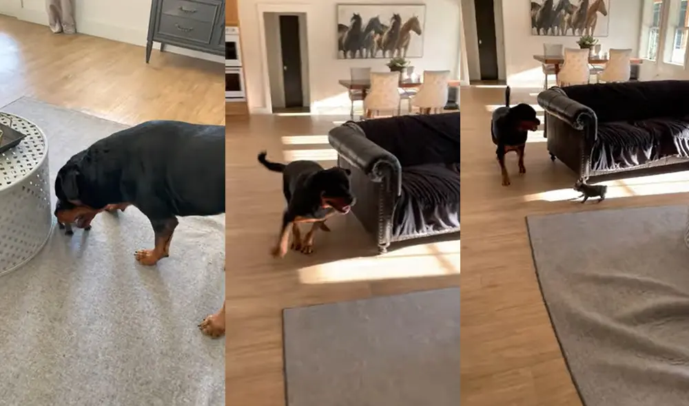 Este peculiar acontecimiento ocurrió en Clarence, Oklahoma, USA. Foto: captura de YouTube