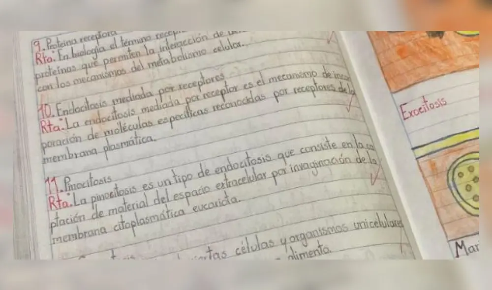 La buena grafía del menor está acompañada de ilustraciones. Foto: captura de Facebook La buena grafía del menor está acompañada de ilustraciones. Foto: captura de Facebook