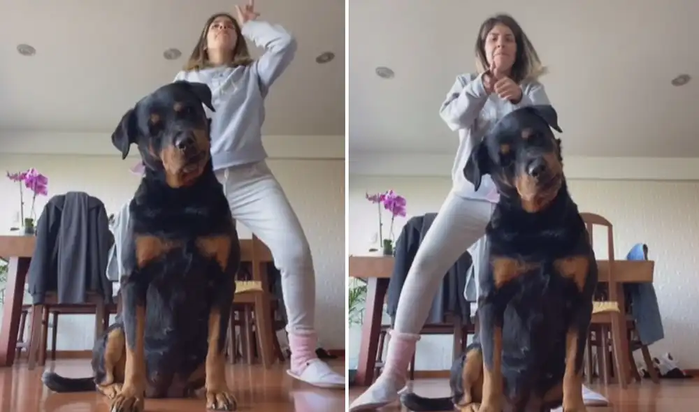 Ella seguía bailando, pero fue Atenea quien se robó el show en la grabación, pues su reacción de confusión dio mucho qué hablar. Foto: captura de TikTok