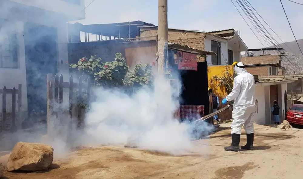 Una mujer de 42 años con 7 semanas de gestación que fue diagnosticada con dengue. Foto: Deysi Portuguez/URPI-LR