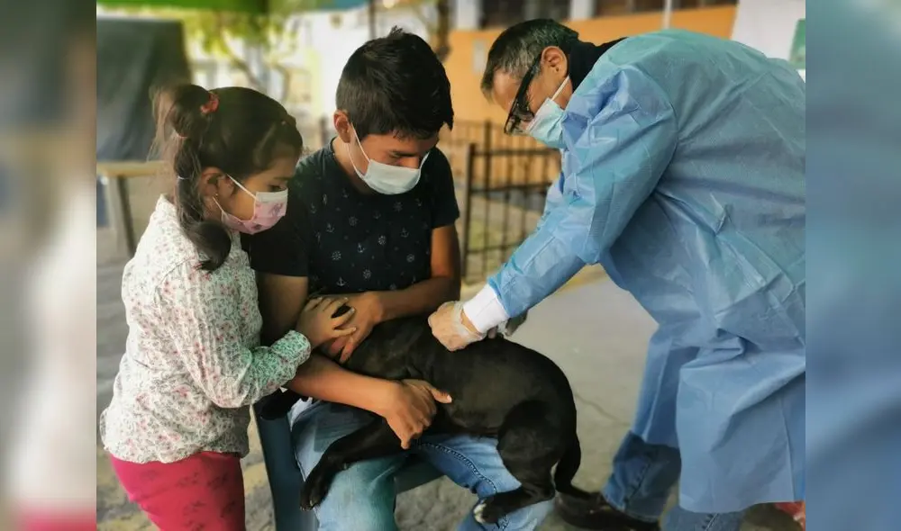 Brigadas de salud vacunarán casa por casa contra la rabia en Cerro Colorado. Foto: Geresa Arequipa. Brigadas de salud vacunarán casa por casa contra la rabia en Cerro Colorado. Foto: Geresa Arequipa.