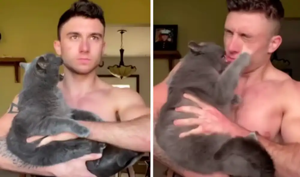 El video ha sido compartido en el canal  GARRETT with Ivan the cat. Foto: captura de YouTube