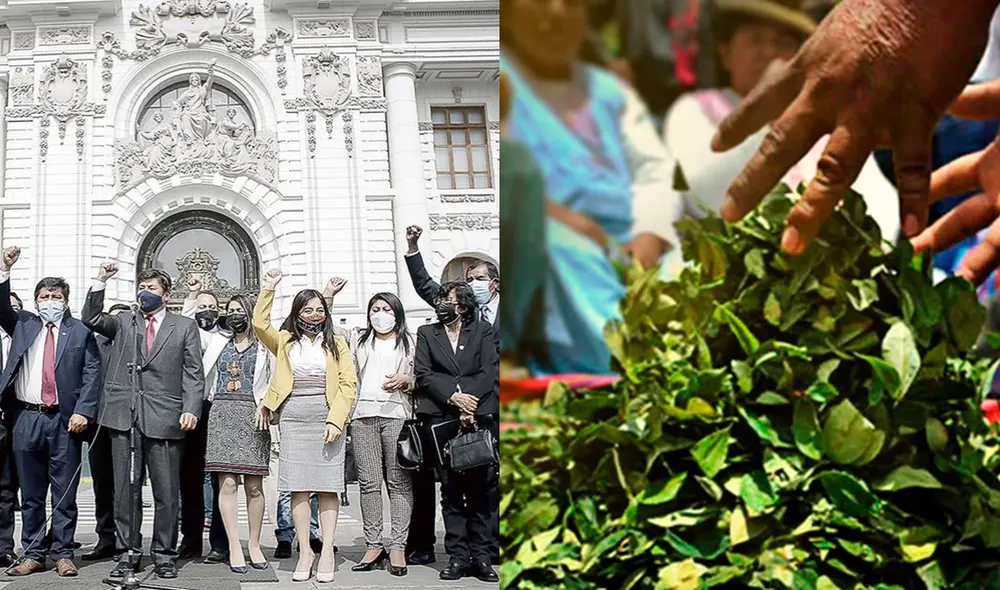 Perú Libre busca considerar “lícitos” los cultivos de hoja de coca que tengan “fines de comercialización e industrialización”. Foto: La República/difusión
