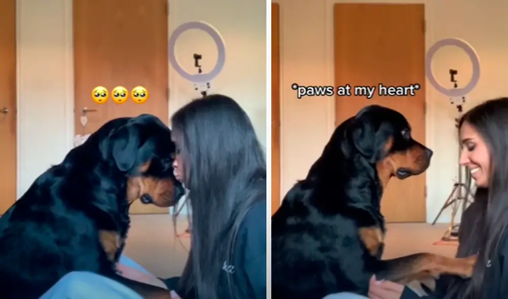 El video viral ha sido compartido en la página Rottweiler Life. Foto: captura de Facebook