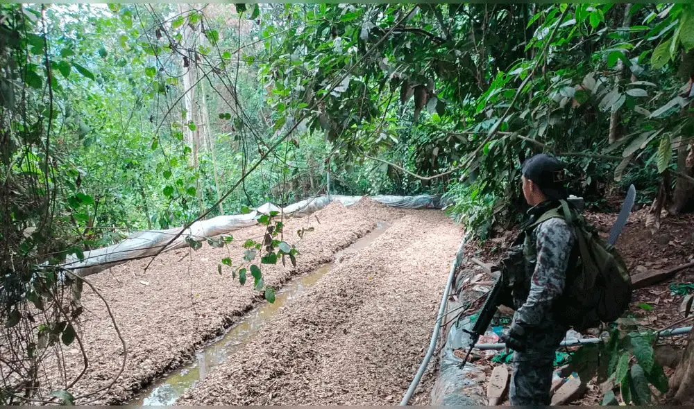 PNP logró incautar armas de fuego, municiones y explosivos. Foto: PNP