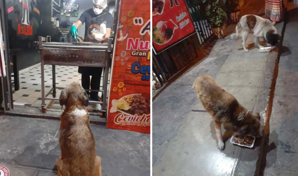 El dueño de este local suele recolectar algunos restos de comida y los reparte entre los perritos callejeros de la zona. Foto: captura de Facebook El dueño de este local suele recolectar algunos restos de comida y los reparte entre los perritos callejeros de la zona. Foto: captura de Facebook