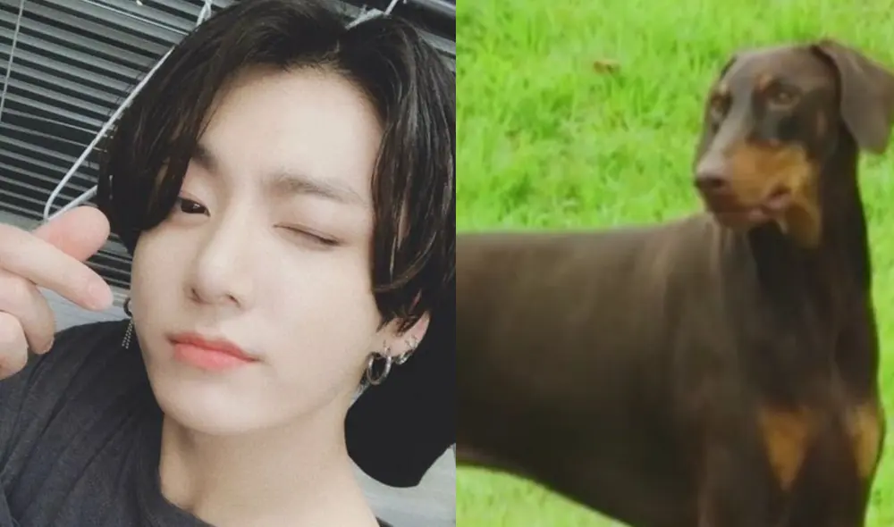 Bam es la nueva mascota de Jungkook y fue presentado en el primer episodio de BTS In the SOOP 2. Foto: composición/HYBE