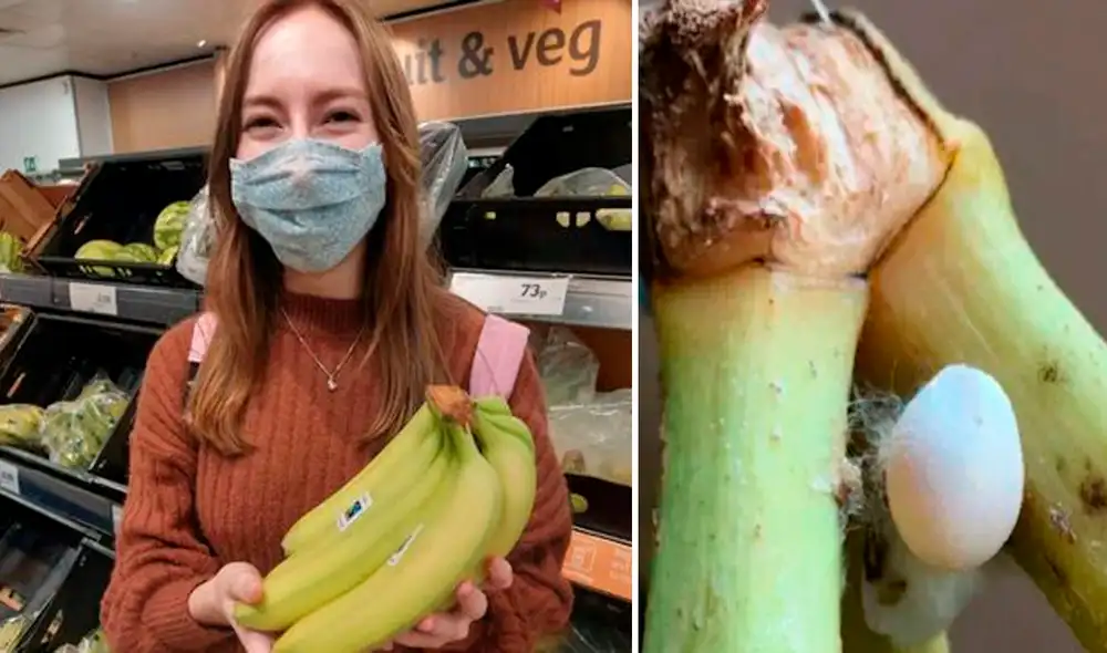 La asustada joven pensó que eran huevos de una araña venenosa, pero su padre le explicó que se trataba de un lagartija. Foto: captura de Facebook