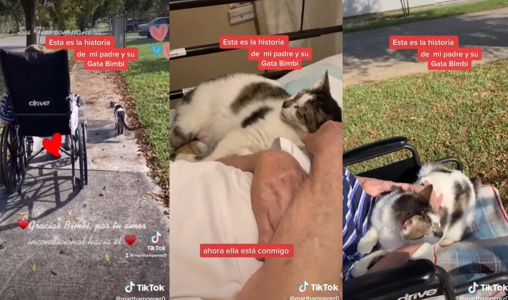 Bimbi creció con sus dueños por más de 15 años y siempre mostró su afecto hacia ellos cuidándolos cada vez que salían a pasear. Foto: captura de TikTok