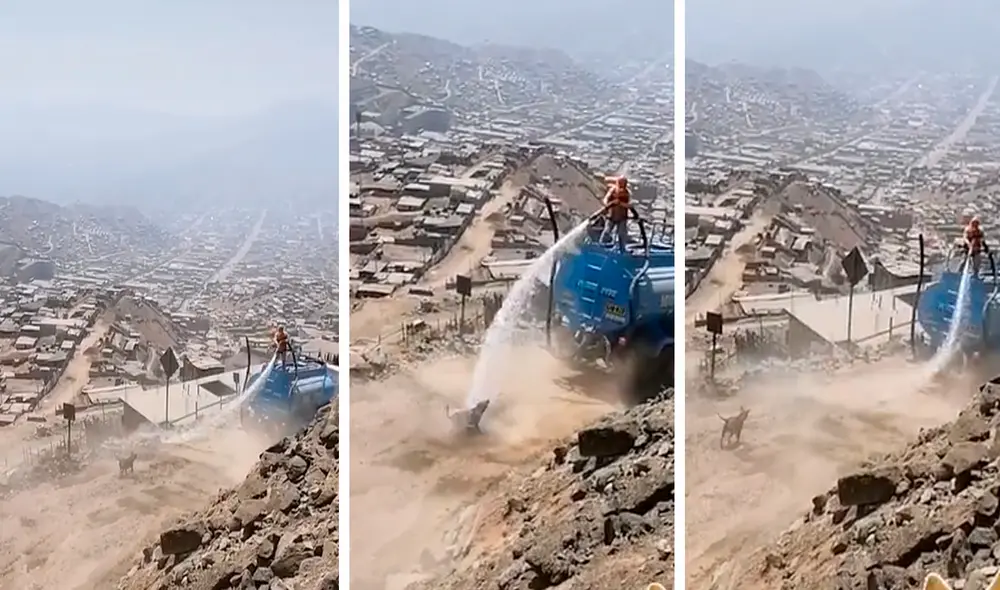 El sujeto que regaba notó que la mascota disfrutaba el momento y sostuvo la manguera directo al animal. Foto: captura de TikTok