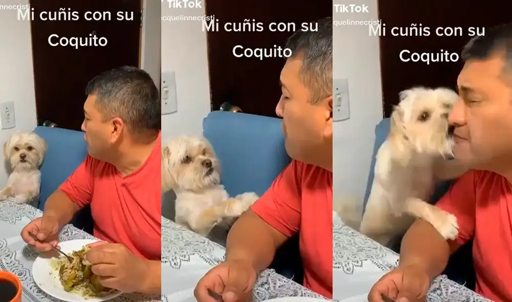 El perrito engañó a su dueño cuando movía su cola ante sus tiernas palabras. El inesperado final que protagonizó hizo reír a los cibernautas. Foto: captura de TikTok