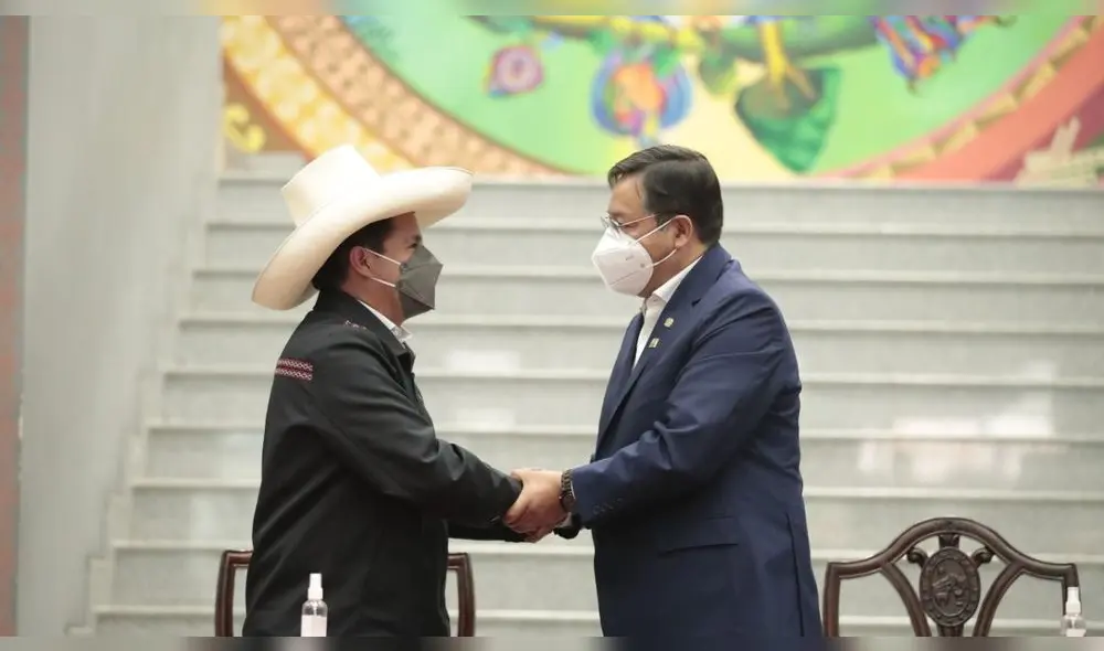 Gas natural. El presidente Pedro Castillo planteó fortalecer la cooperación para que los agricultores de ambas naciones puedan acceder a fertilizantes, herramientas y tecnología. Foto: Presidencia del Perú Gas natural. El presidente Pedro Castillo planteó fortalecer la cooperación para que los agricultores de ambas naciones puedan acceder a fertilizantes, herramientas y tecnología. Foto: Presidencia del Perú