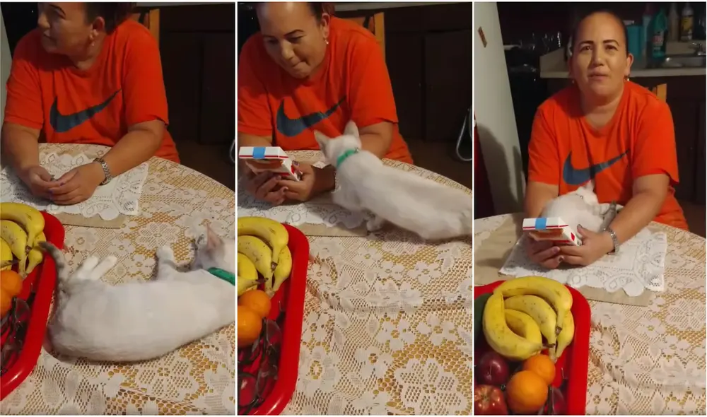 El video compartido rápidamente se viralizó en redes sociales y ya suma más de medio millón de reproducciones. Foto: captura de video de Facebook